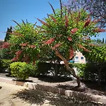 Eden Gardens